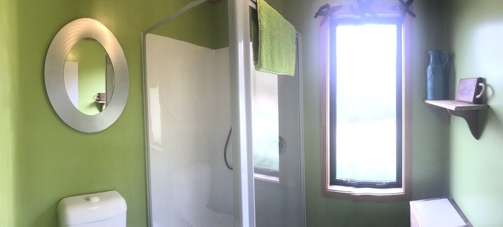 shower in bathroom