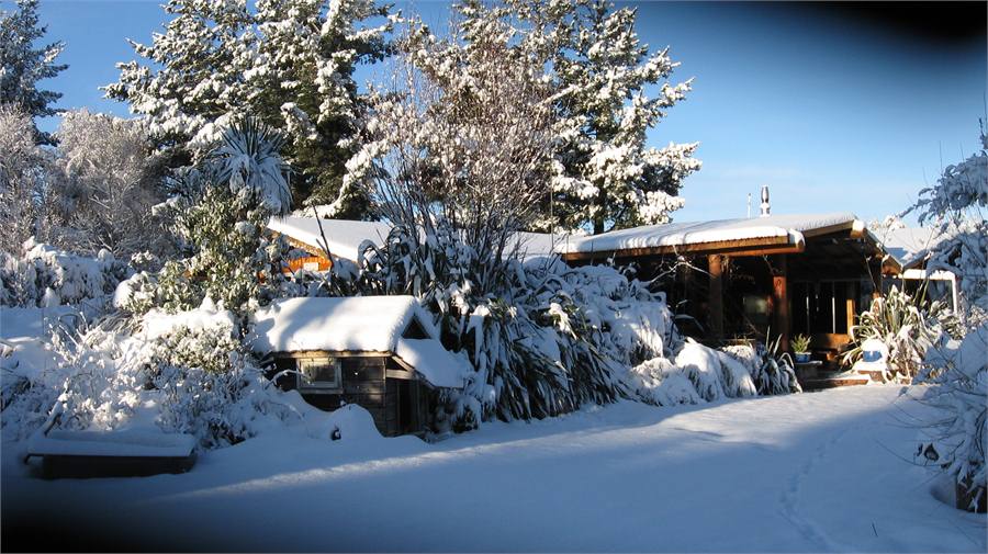 The Log Lodge in Snow