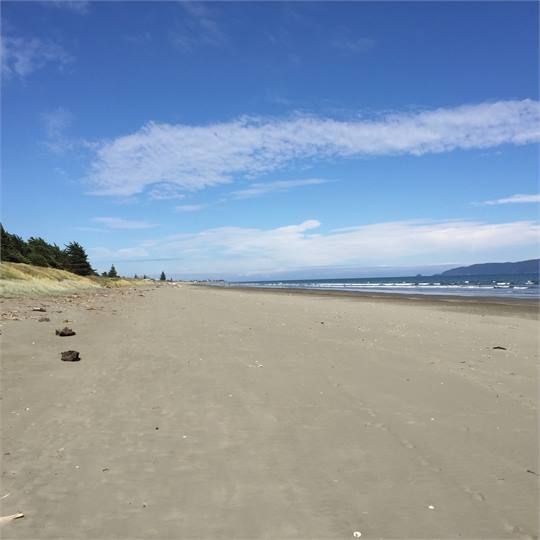Waikanae Beach looking south