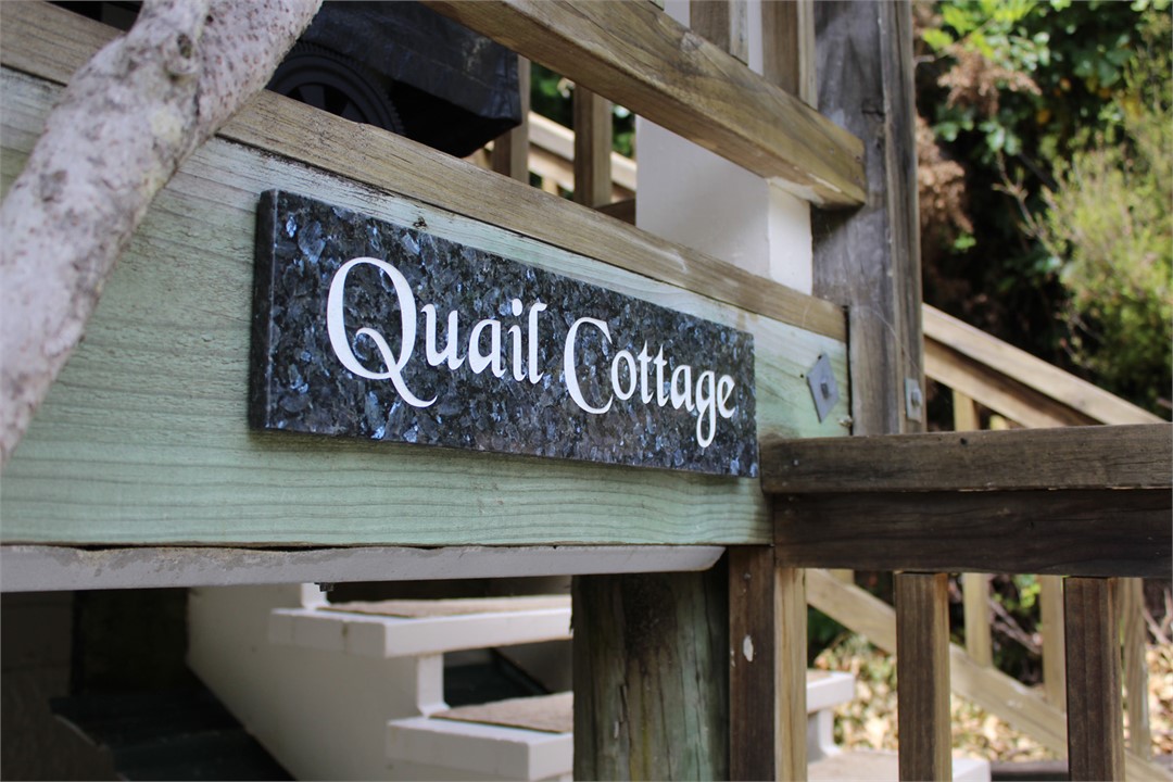 Our apartment is called "Quail Cottage"