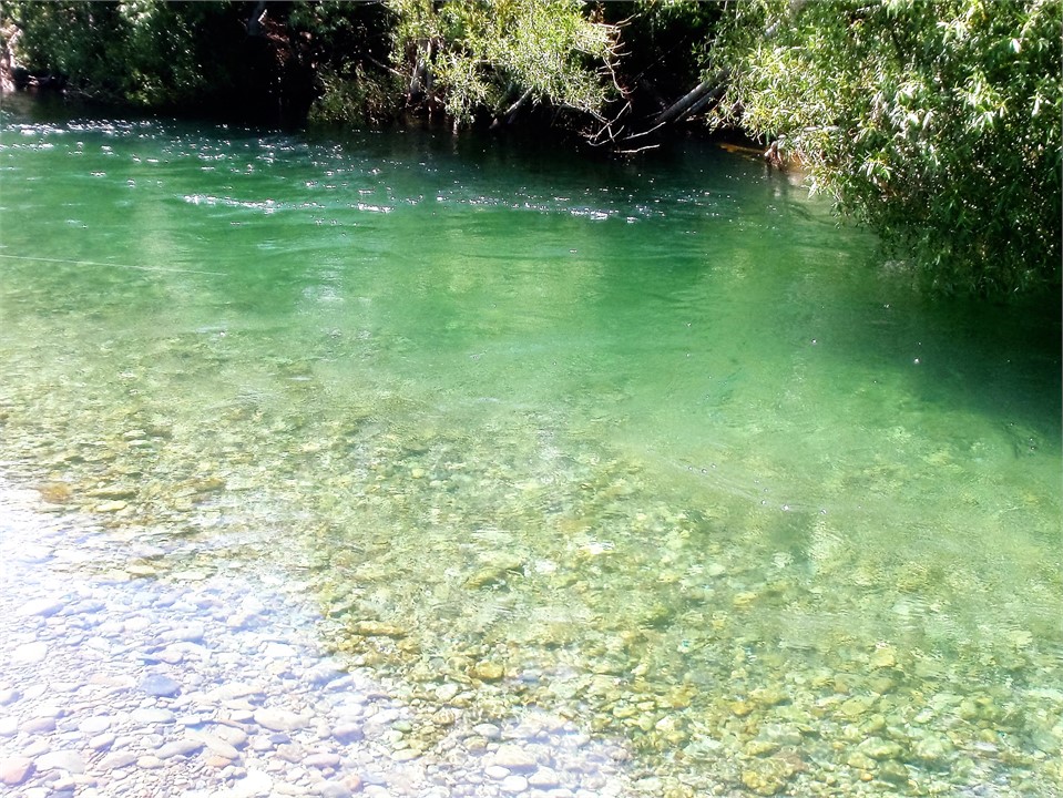 The Oreti River is a short walk from the house