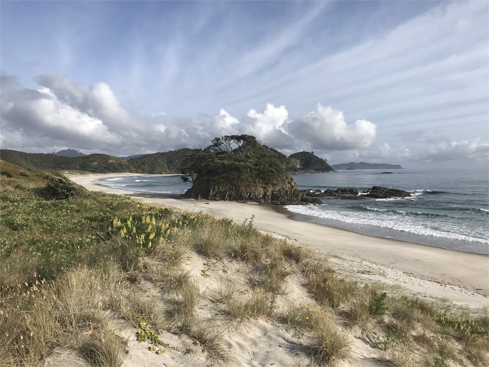 Medlands Beach (picture not from house)