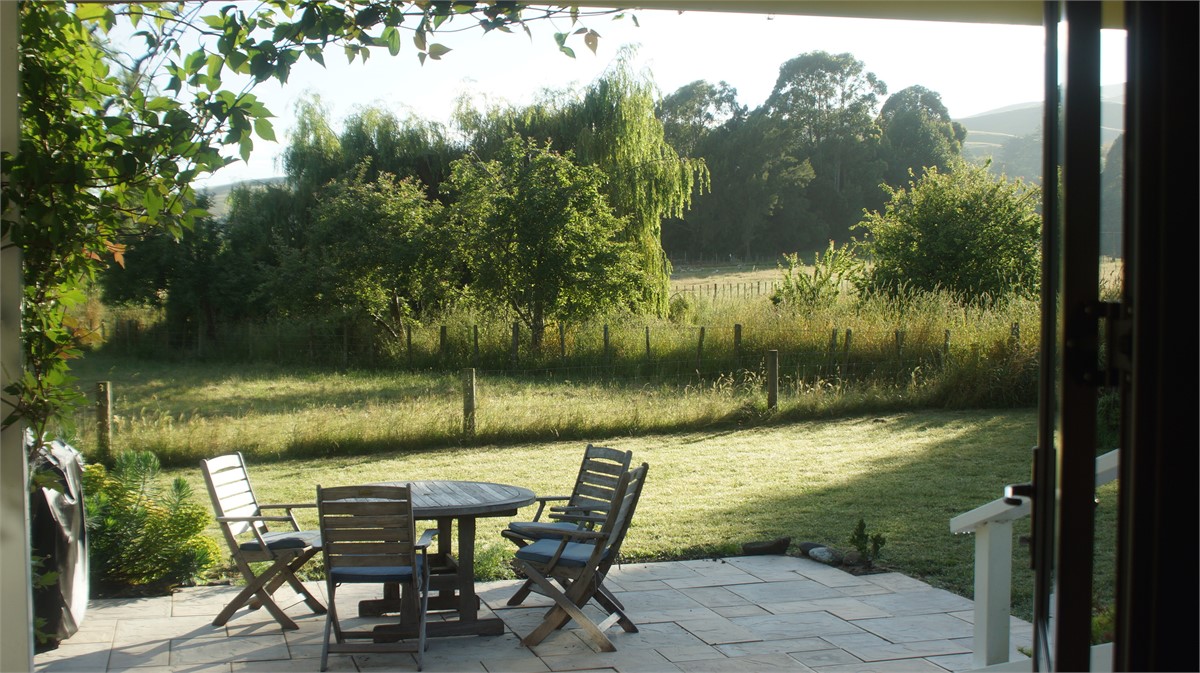outdoor dining with BBQ