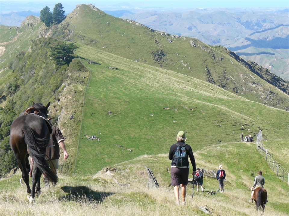 Home stretch of the Red walk