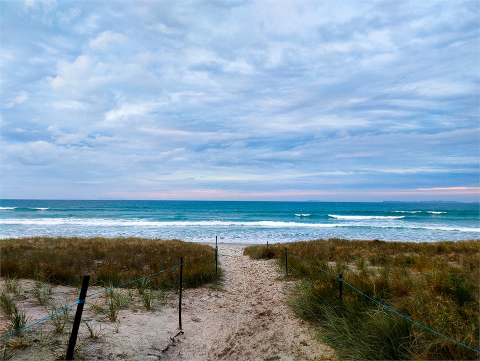 Matarangi 4 Sleepouts/big section Matarangi for rent Holiday Houses