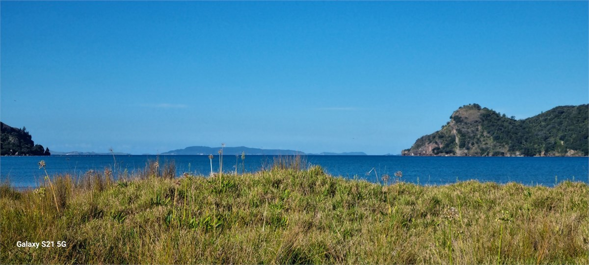 View from Pukako Retreat