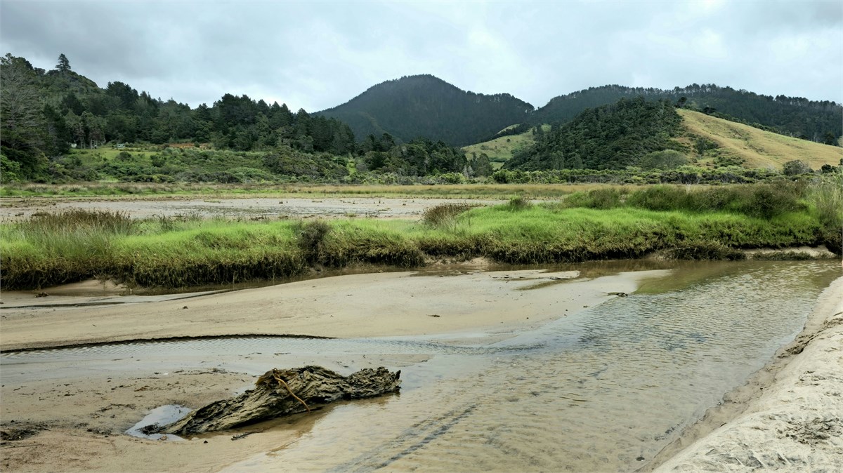 Beautiful vistas behind South end of Beach