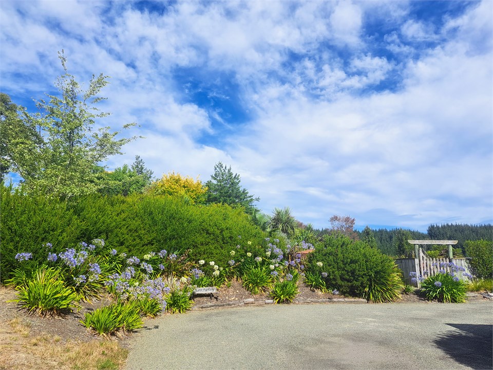 Exclusive use of pool any time