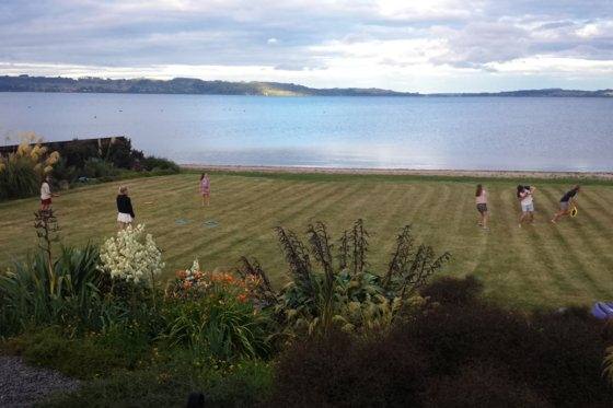 Ultimate back yard cricket pitch!