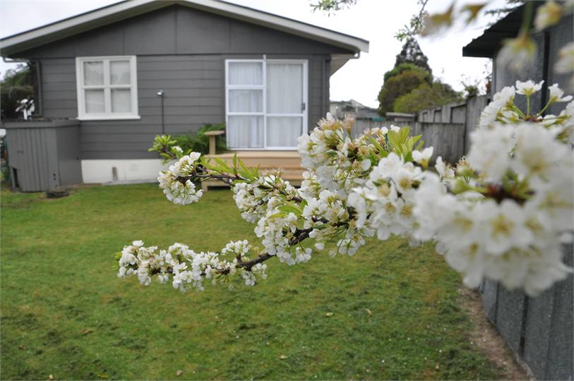 Back Deck off Bedroom House