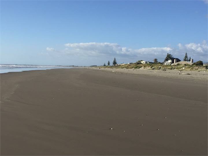Looking north along beach