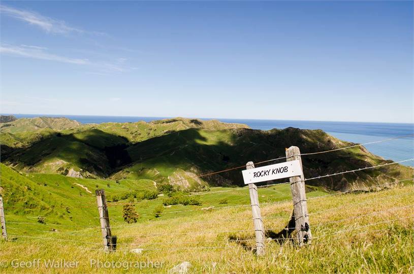 Looking out to the Pacific ocean