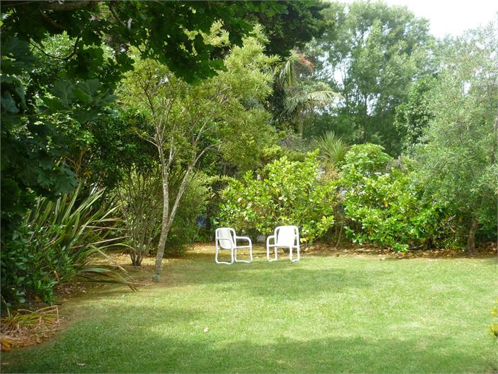 Trees to relax under