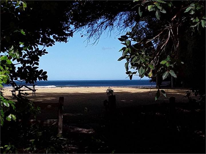 View from the cottage