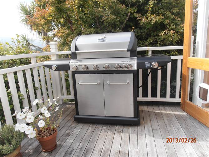new bbq