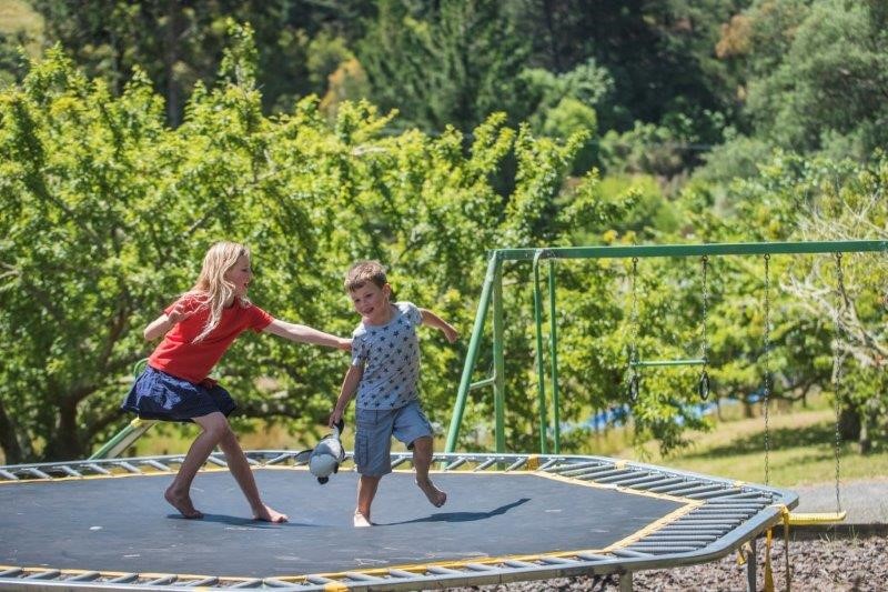 Playground (now has a new safety trampoline)