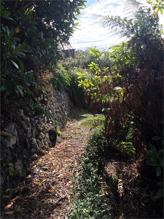 Garden path/stone wall