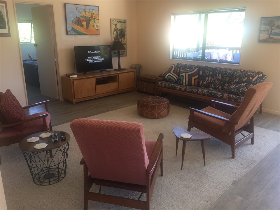 Modern room lounge sofa sleeper if needed