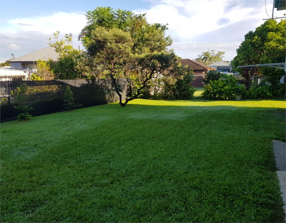 Backyard - Property borders along plant line