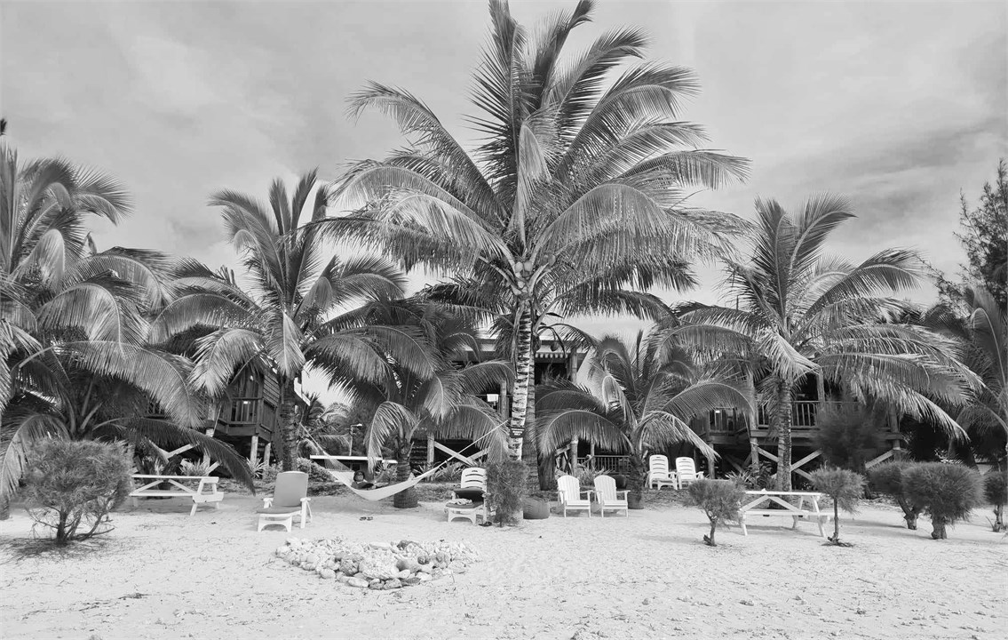 Palms at Rarotonga Villas