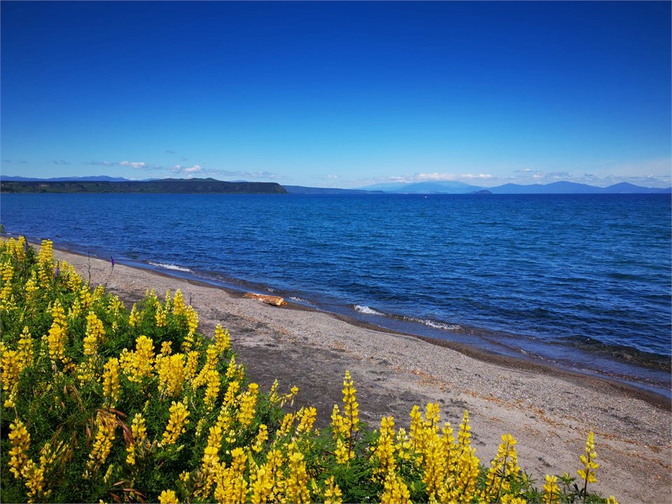 Lake beach 30m from Bach