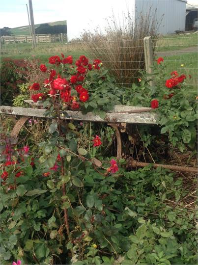 colourful sheltered gardens to stroll around