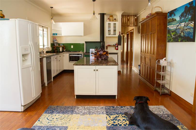 We welcome your dog.