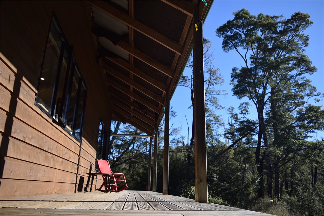 The back deck gets lovely midday-evening sun