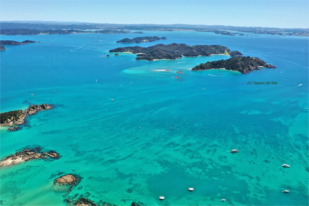 Sub Tropical BOI - looking back to Tapeka