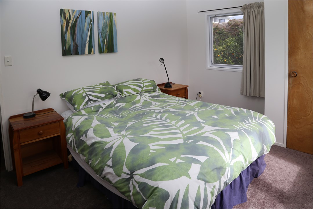 Downstairs queen bedroom