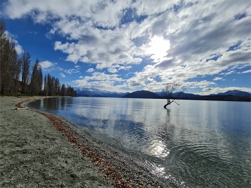 #That Wanaka Tree - a few minutes walk from apartm