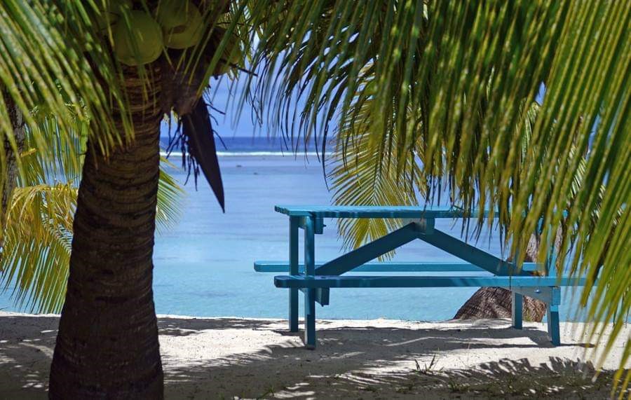 Casual dining on the beach