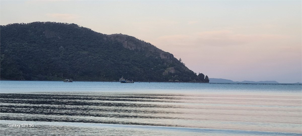 Mussel farm at Kennedy Bay