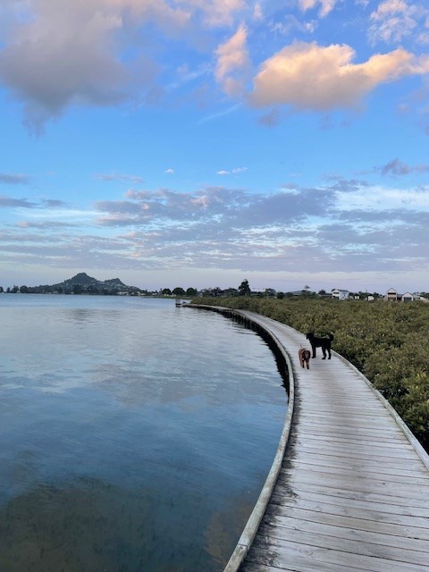 NEARBY BOARDWALK AND CYCLE TRAIL