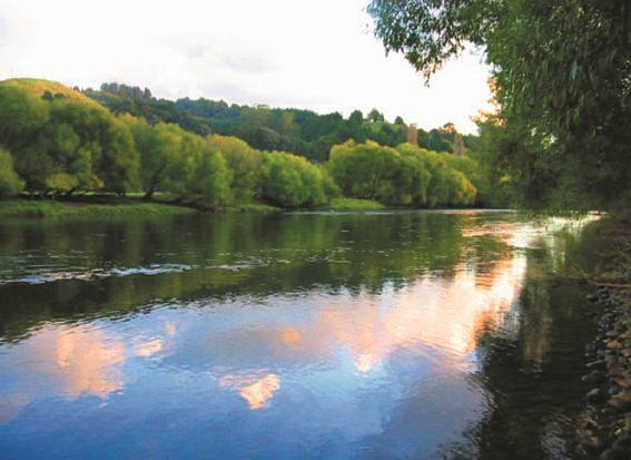 100 metres from the Cottage via public reserve (op