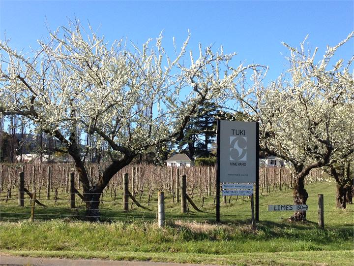 Cottage distance from road