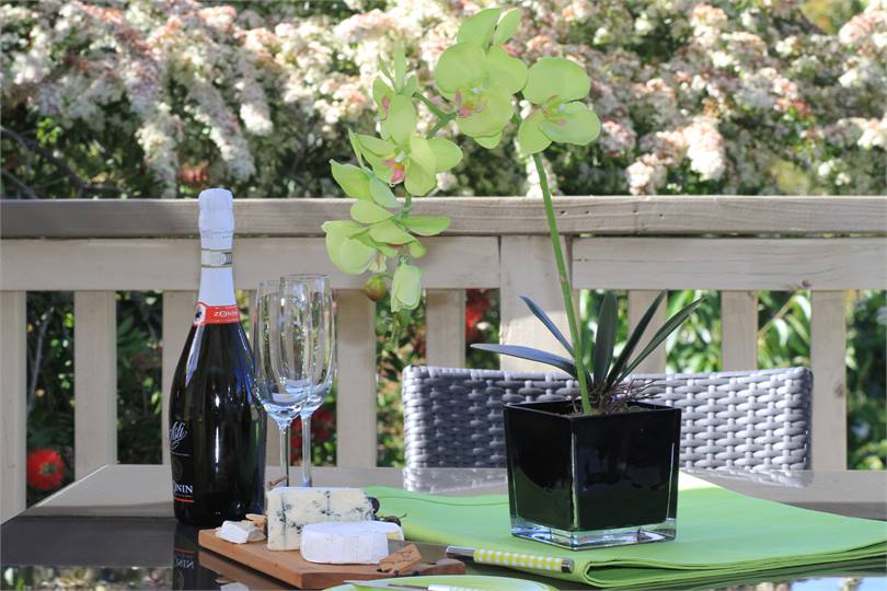 Pre-Dinner Nibbles on Balcony