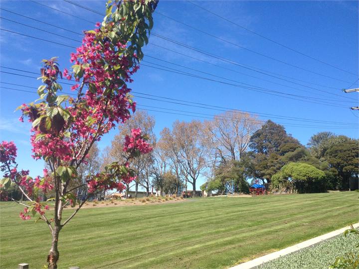 View from the house towards the playground.