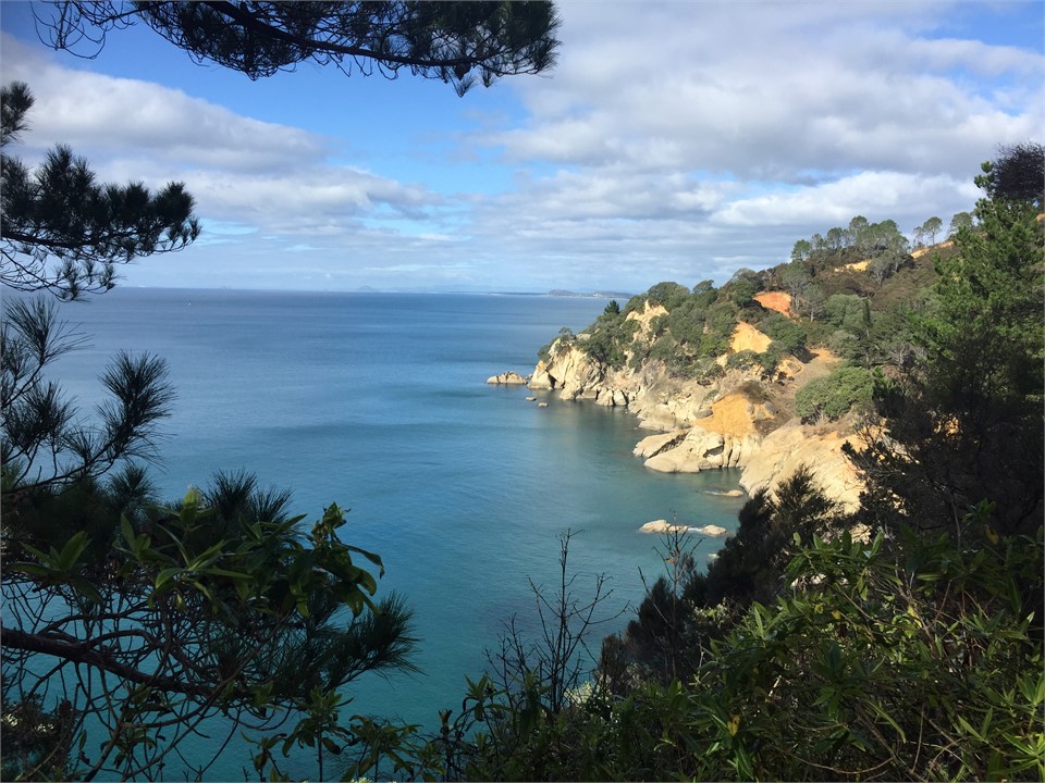 Nice long walk to orokawa bay or carry on further 