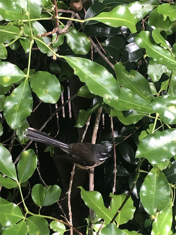 …..and this beauty