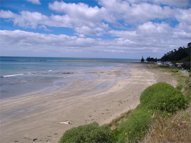 near where the paua live