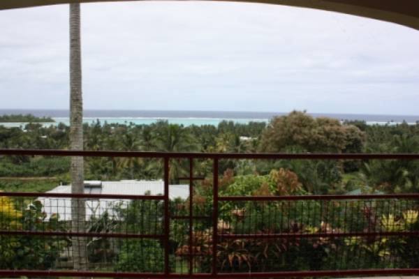 View from dining room