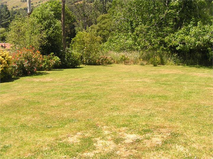 large lawn