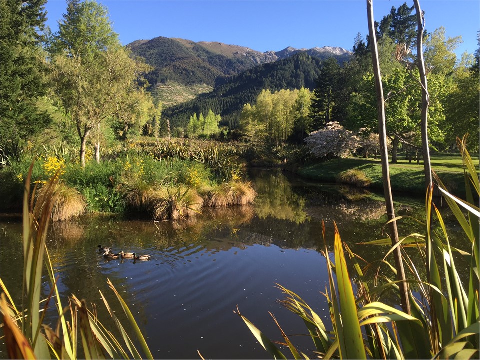 Woodland Ponds at nearby Woodland Walk