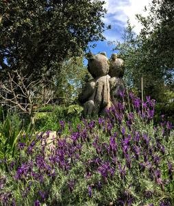 Bears in the Lavendar