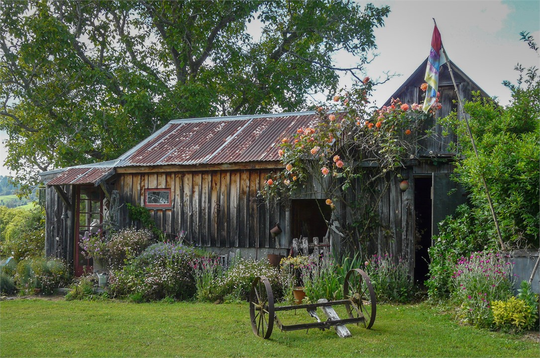 Studio & Gallery. Once for both milking and sheari