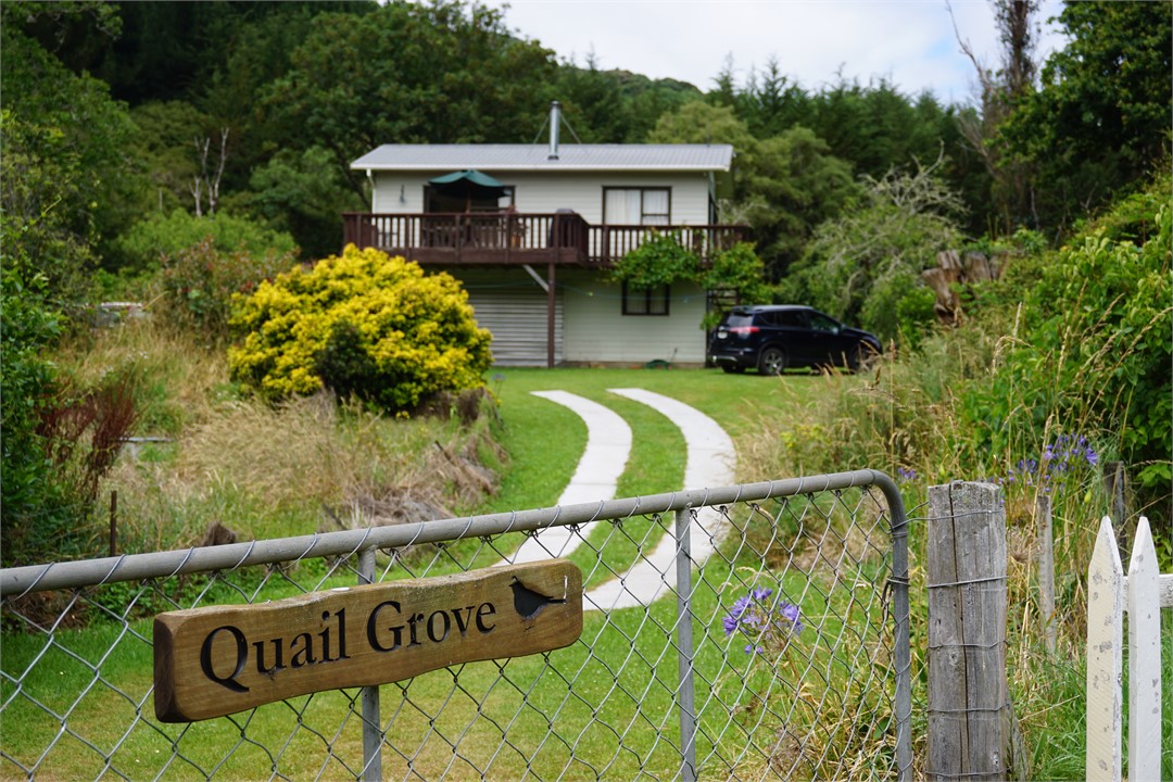 view from Le bons Bay road