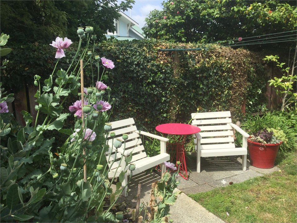 Sunny Spot for Morning Coffee