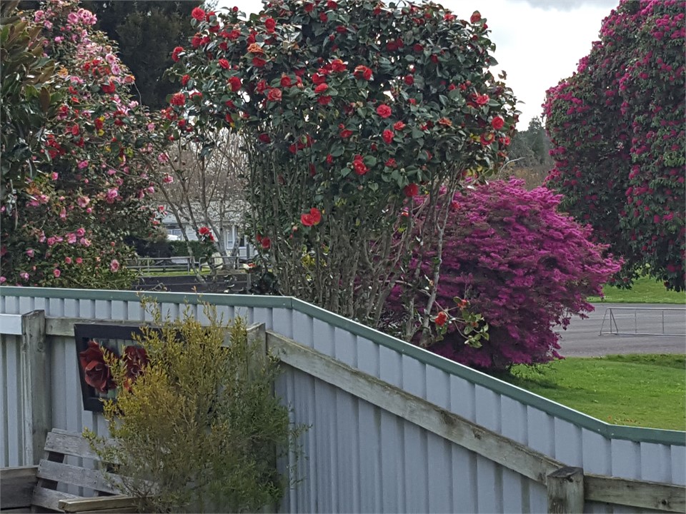 We are next door to a school so weekends are quiet