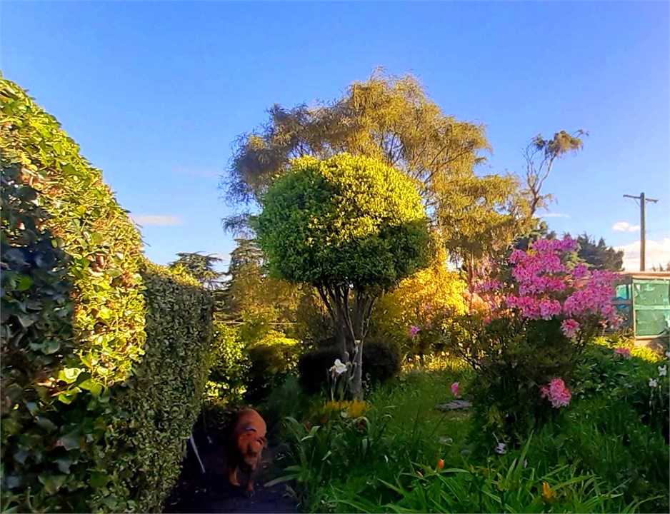 Heading down the path to the bottom section.